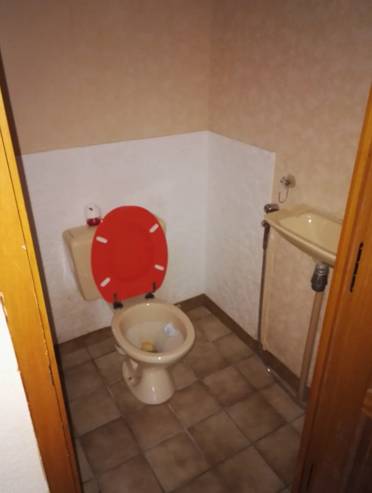 Toilettes avant rénovation