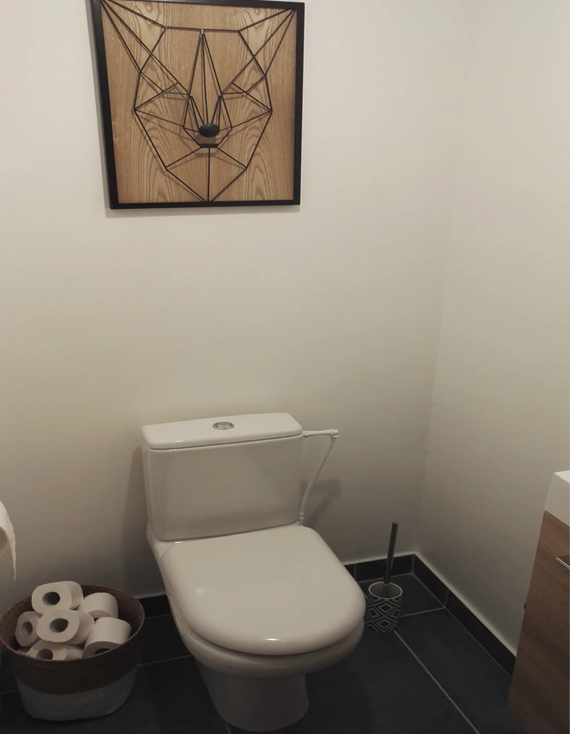 Après : toilettes rénovées, maison à Besançon Saint-Ferjeux