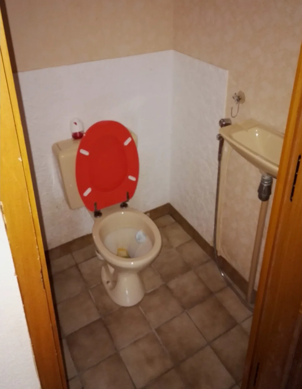 Avant : toilettes datées, maison à Besançon Saint-Ferjeux